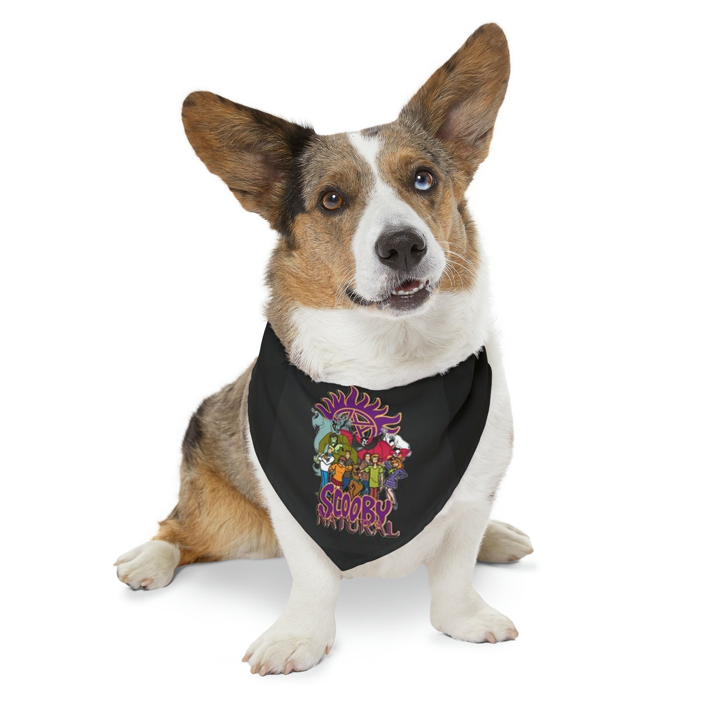 Supernatural "Scoobynatural" Pet Bandana Collar